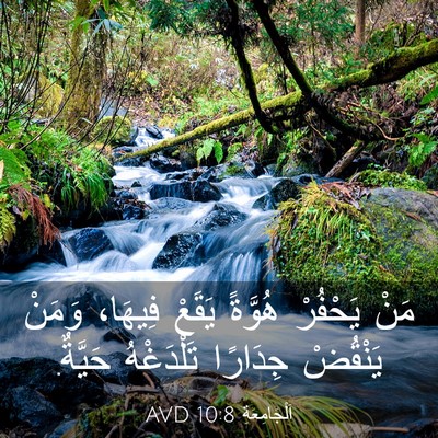 Picture 03 - اَلْجَامِعَةِ 10:8 AVD - مَنْ يَحْفُرْ هُوَّةً - Bible Verse Picture
