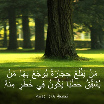 Picture 03 - اَلْجَامِعَةِ 10:9 AVD - مَنْ يَقْلَعْ حِجَارَةً - Bible Verse Picture