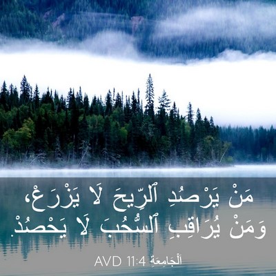 Picture 03 - اَلْجَامِعَةِ 11:4 AVD - مَنْ يَرْصُدِ ٱلرِّيحَ لَا - Bible Verse Picture