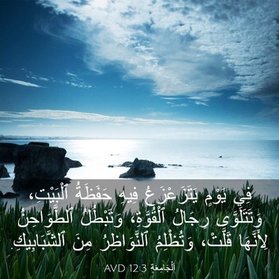 Picture 03 - اَلْجَامِعَةِ 12:3 AVD - فِي يَوْمٍ يَتَزَعْزَعُ - Bible Verse Picture