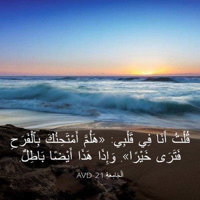 Picture 03 - اَلْجَامِعَةِ 2:1 AVD - قُلْتُ أَنَا فِي قَلْبِي: - Bible Verse Picture