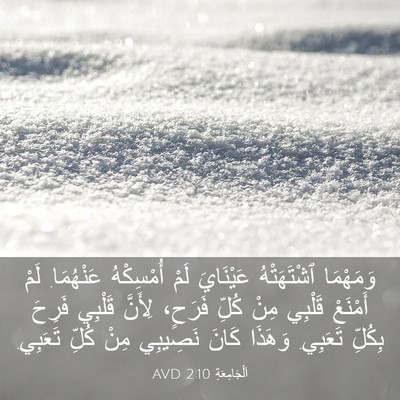 Picture 03 - اَلْجَامِعَةِ 2:10 AVD - وَمَهْمَا ٱشْتَهَتْهُ - Bible Verse Picture