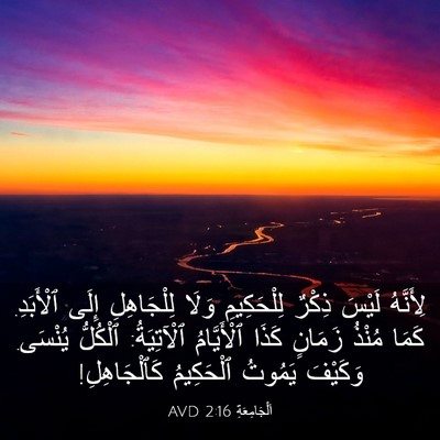 Picture 03 - اَلْجَامِعَةِ 2:16 AVD - لِأَنَّهُ لَيْسَ ذِكْرٌ - Bible Verse Picture
