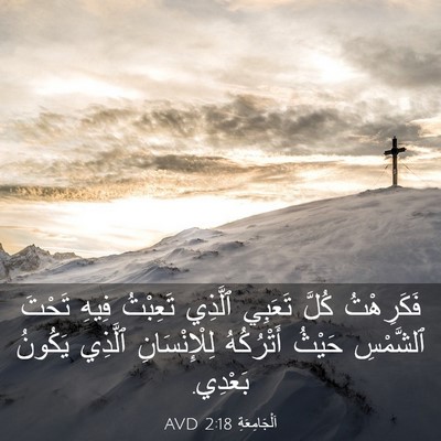 Picture 03 - اَلْجَامِعَةِ 2:18 AVD - فَكَرِهْتُ كُلَّ تَعَبِي - Bible Verse Picture