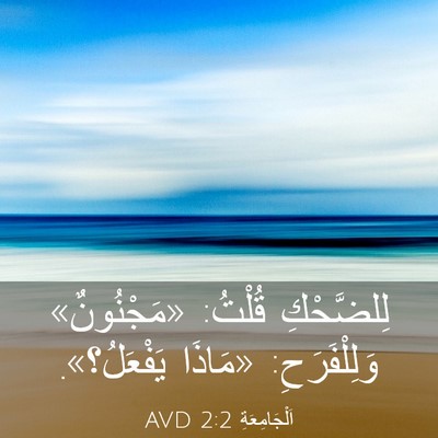 Picture 03 - اَلْجَامِعَةِ 2:2 AVD - لِلضَّحْكِ قُلْتُ: - Bible Verse Picture