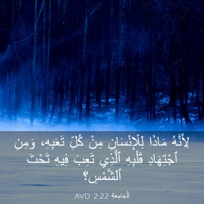 Picture 03 - اَلْجَامِعَةِ 2:22 AVD - لِأَنَّهُ مَاذَا - Bible Verse Picture