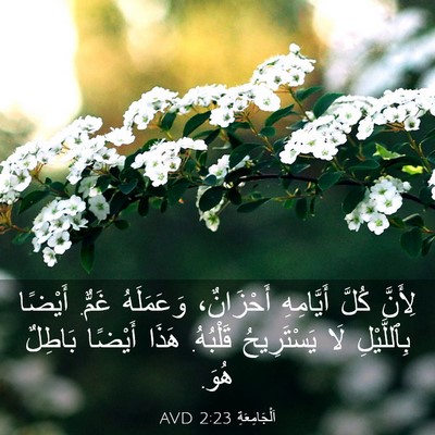 Picture 03 - اَلْجَامِعَةِ 2:23 AVD - لِأَنَّ كُلَّ أَيَّامِهِ - Bible Verse Picture