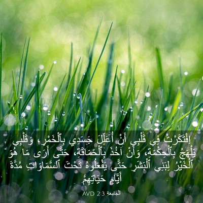 Picture 03 - اَلْجَامِعَةِ 2:3 AVD - اِفْتَكَرْتُ فِي قَلْبِي - Bible Verse Picture