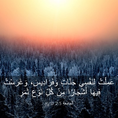 Picture 03 - اَلْجَامِعَةِ 2:5 AVD - عَمِلْتُ لِنَفْسِي - Bible Verse Picture