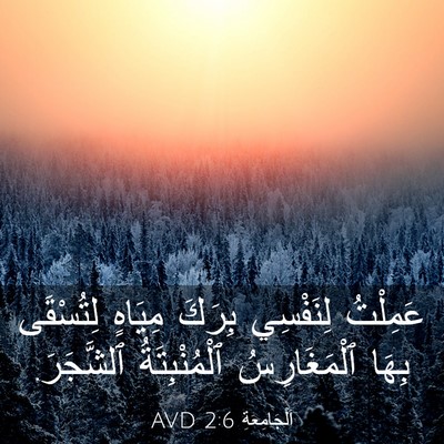 Picture 03 - اَلْجَامِعَةِ 2:6 AVD - عَمِلْتُ لِنَفْسِي بِرَكَ - Bible Verse Picture