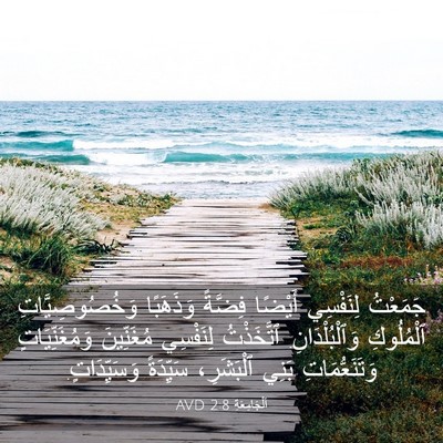 Picture 03 - اَلْجَامِعَةِ 2:8 AVD - جَمَعْتُ لِنَفْسِي - Bible Verse Picture