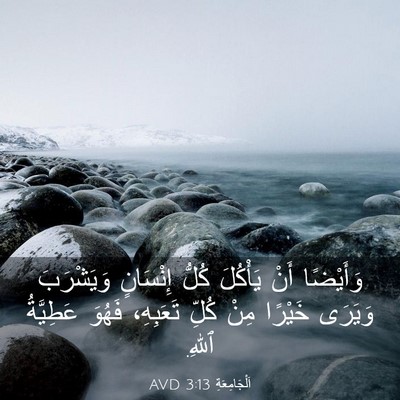 Picture 03 - اَلْجَامِعَةِ 3:13 AVD - وَأَيْضًا أَنْ يَأْكُلَ - Bible Verse Picture