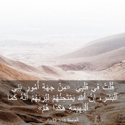 Picture 03 - اَلْجَامِعَةِ 3:18 AVD - قُلْتُ فِي قَلْبِي: «مِنْ - Bible Verse Picture
