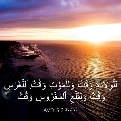 Picture 03 - اَلْجَامِعَةِ 3:2 AVD - لِلْوِلَادَةِ وَقْتٌ - Bible Verse Picture