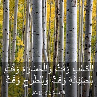 Picture 03 - اَلْجَامِعَةِ 3:6 AVD - لِلْكَسْبِ وَقْتٌ - Bible Verse Picture