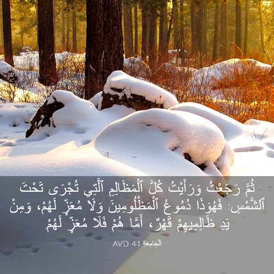 Picture 03 - اَلْجَامِعَةِ 4:1 AVD - ثُمَّ رَجَعْتُ وَرَأَيْتُ - Bible Verse Picture