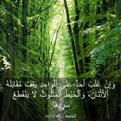 Picture 03 - اَلْجَامِعَةِ 4:12 AVD - وَإِنْ غَلَبَ أَحَدٌ عَلَى - Bible Verse Picture