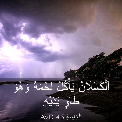 Picture 03 - اَلْجَامِعَةِ 4:5 AVD - اَلْكَسْلَانُ يَأْكُلُ - Bible Verse Picture
