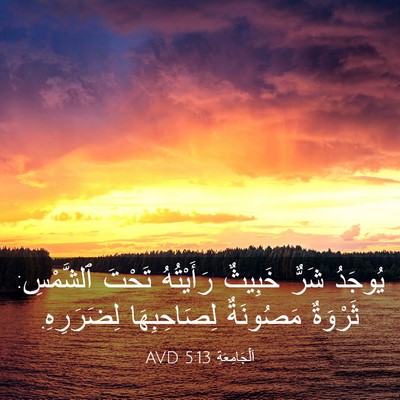 Picture 03 - اَلْجَامِعَةِ 5:13 AVD - يُوجَدُ شَرٌّ خَبِيثٌ - Bible Verse Picture