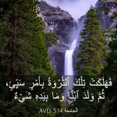 Picture 03 - اَلْجَامِعَةِ 5:14 AVD - فَهَلَكَتْ تِلْكَ - Bible Verse Picture
