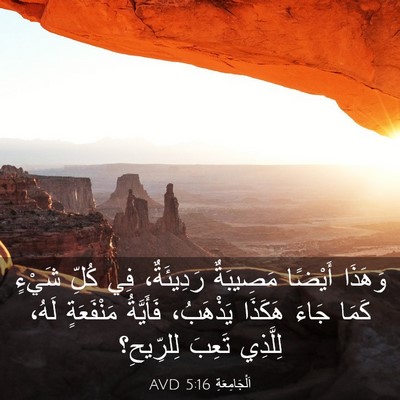 Picture 03 - اَلْجَامِعَةِ 5:16 AVD - وَهَذَا أَيْضًا مَصِيبَةٌ - Bible Verse Picture