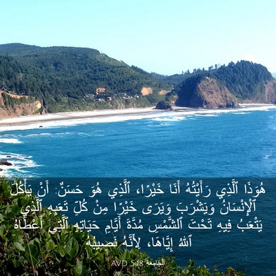Picture 03 - اَلْجَامِعَةِ 5:18 AVD - هُوَذَا ٱلَّذِي - Bible Verse Picture