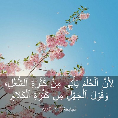Picture 03 - اَلْجَامِعَةِ 5:3 AVD - لِأَنَّ ٱلْحُلْمَ يَأْتِي - Bible Verse Picture
