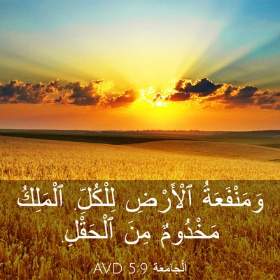 Picture 03 - اَلْجَامِعَةِ 5:9 AVD - وَمَنْفَعَةُ ٱلْأَرْضِ - Bible Verse Picture