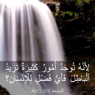 Picture 03 - اَلْجَامِعَةِ 6:11 AVD - لِأَنَّهُ تُوجَدُ أُمُورٌ - Bible Verse Picture