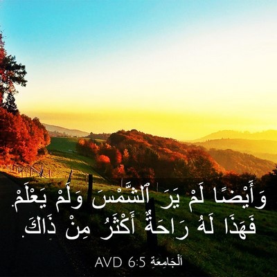Picture 03 - اَلْجَامِعَةِ 6:5 AVD - وَأَيْضًا لَمْ يَرَ - Bible Verse Picture
