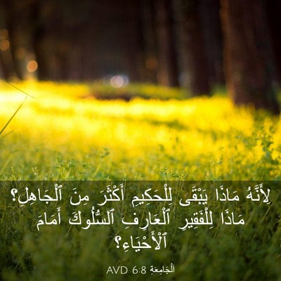 Picture 03 - اَلْجَامِعَةِ 6:8 AVD - لِأَنَّهُ مَاذَا يَبْقَى - Bible Verse Picture