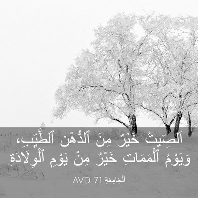 Picture 03 - اَلْجَامِعَةِ 7:1 AVD - اَلصِّيتُ خَيْرٌ مِنَ - Bible Verse Picture