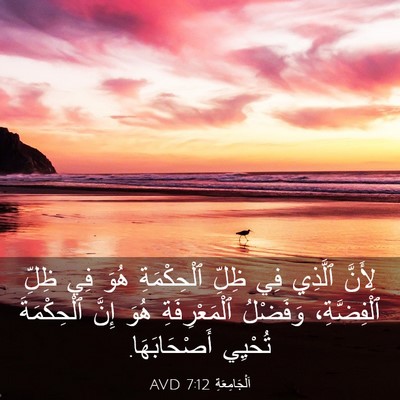 Picture 03 - اَلْجَامِعَةِ 7:12 AVD - لِأَنَّ ٱلَّذِي فِي ظِلِّ - Bible Verse Picture