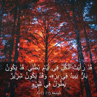 Picture 03 - اَلْجَامِعَةِ 7:15 AVD - قَدْ رَأَيْتُ ٱلْكُلَّ فِي - Bible Verse Picture
