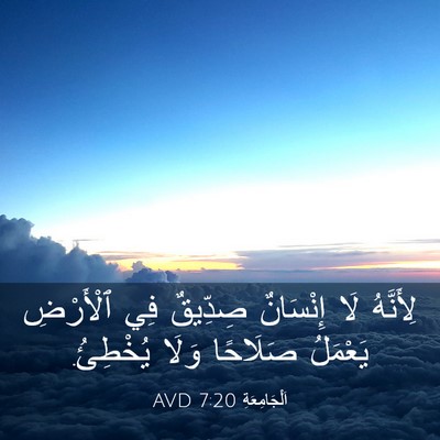 Picture 03 - اَلْجَامِعَةِ 7:20 AVD - لِأَنَّهُ لَا إِنْسَانٌ - Bible Verse Picture