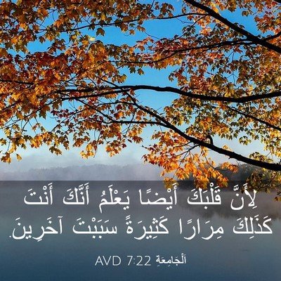 Picture 03 - اَلْجَامِعَةِ 7:22 AVD - لِأَنَّ قَلْبَكَ أَيْضًا - Bible Verse Picture