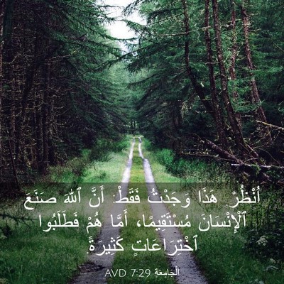 Picture 03 - اَلْجَامِعَةِ 7:29 AVD - اُنْظُرْ. هَذَا وَجَدْتُ - Bible Verse Picture