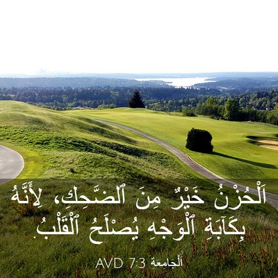 Picture 03 - اَلْجَامِعَةِ 7:3 AVD - اَلْحُزْنُ خَيْرٌ مِنَ - Bible Verse Picture