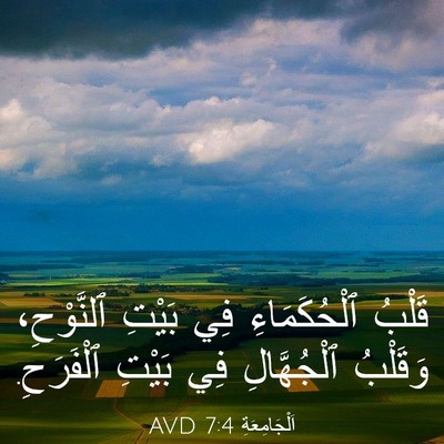 Picture 03 - اَلْجَامِعَةِ 7:4 AVD - قَلْبُ ٱلْحُكَمَاءِ فِي - Bible Verse Picture
