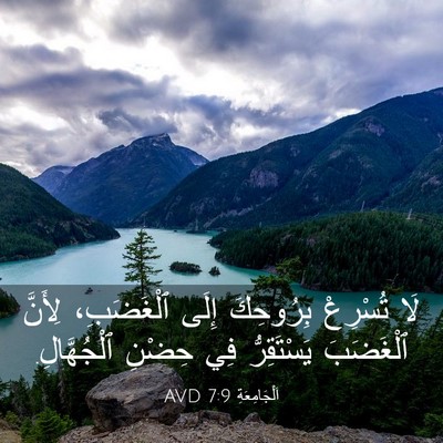 Picture 03 - اَلْجَامِعَةِ 7:9 AVD - لَا تُسْرِعْ بِرُوحِكَ - Bible Verse Picture