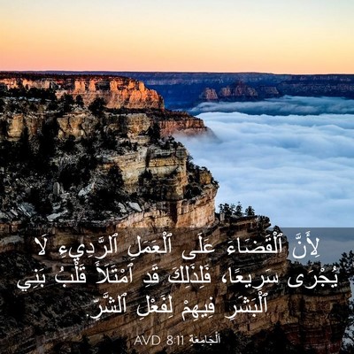 Picture 03 - اَلْجَامِعَةِ 8:11 AVD - لِأَنَّ ٱلْقَضَاءَ عَلَى - Bible Verse Picture
