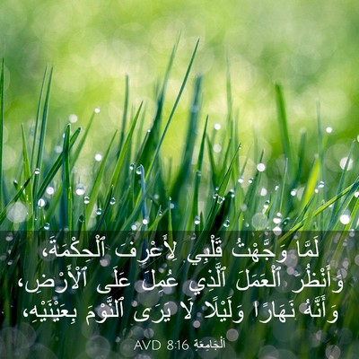 Picture 03 - اَلْجَامِعَةِ 8:16 AVD - لَمَّا وَجَّهْتُ قَلْبِي - Bible Verse Picture