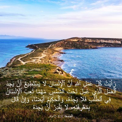 Picture 03 - اَلْجَامِعَةِ 8:17 AVD - رَأَيْتُ كُلَّ عَمَلِ - Bible Verse Picture