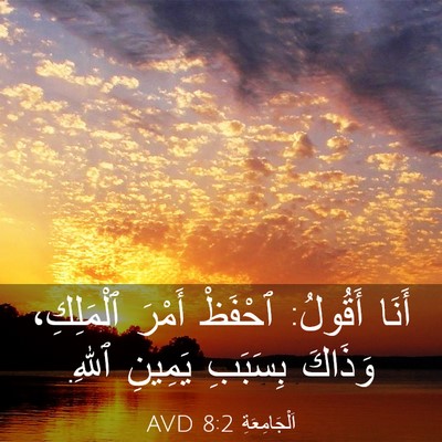 Picture 03 - اَلْجَامِعَةِ 8:2 AVD - أَنَا أَقُولُ: ٱحْفَظْ - Bible Verse Picture