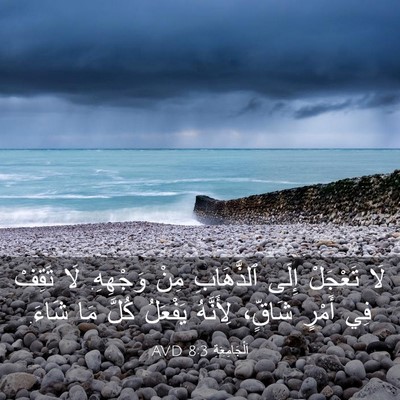 Picture 03 - اَلْجَامِعَةِ 8:3 AVD - لَا تَعْجَلْ إِلَى - Bible Verse Picture