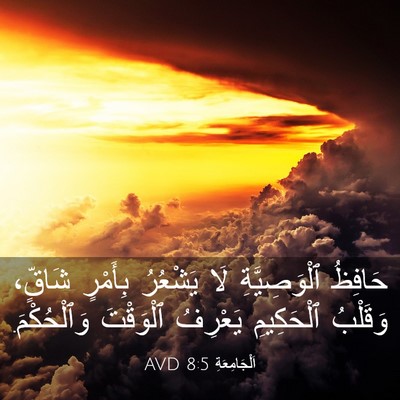 Picture 03 - اَلْجَامِعَةِ 8:5 AVD - حَافِظُ ٱلْوَصِيَّةِ لَا - Bible Verse Picture