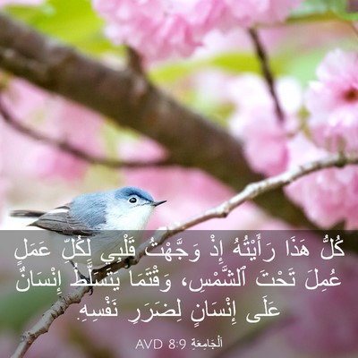 Picture 03 - اَلْجَامِعَةِ 8:9 AVD - كُلُّ هَذَا رَأَيْتُهُ - Bible Verse Picture