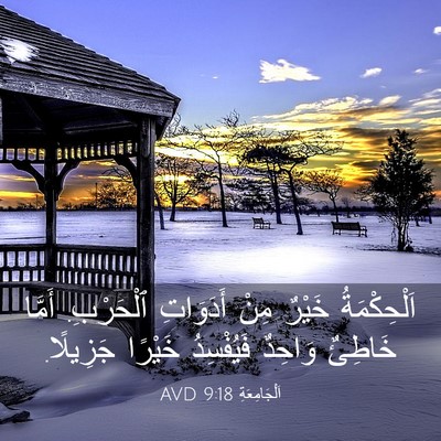 Picture 03 - اَلْجَامِعَةِ 9:18 AVD - اَلْحِكْمَةُ خَيْرٌ مِنْ - Bible Verse Picture