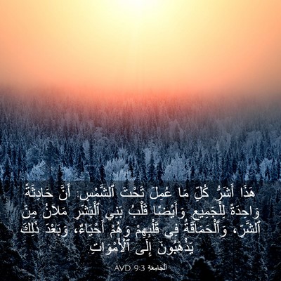Picture 03 - اَلْجَامِعَةِ 9:3 AVD - هَذَا أَشَرُّ كُلِّ مَا - Bible Verse Picture