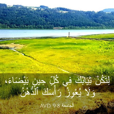 Picture 03 - اَلْجَامِعَةِ 9:8 AVD - لِتَكُنْ ثِيَابُكَ فِي - Bible Verse Picture